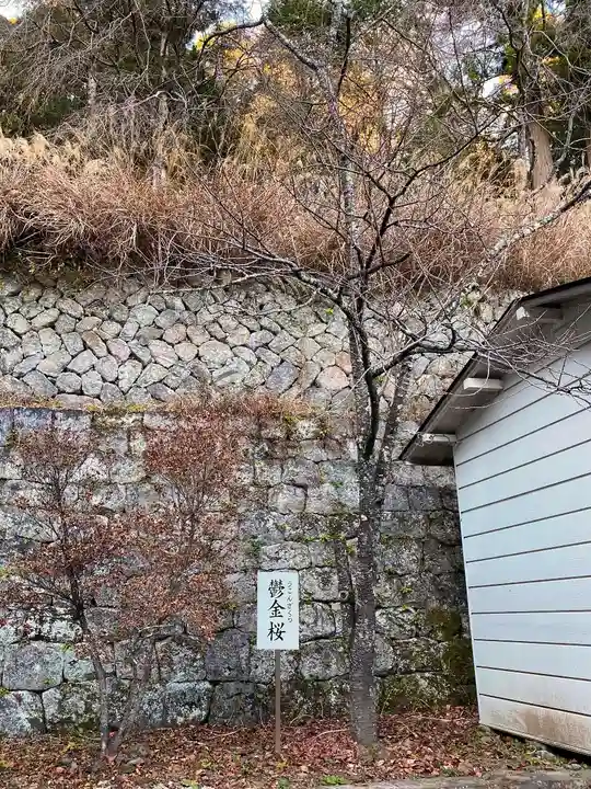 金櫻神社の自然