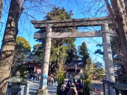 葛西神社の鳥居