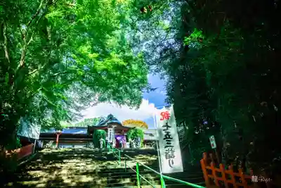 新田神社(鹿児島県)