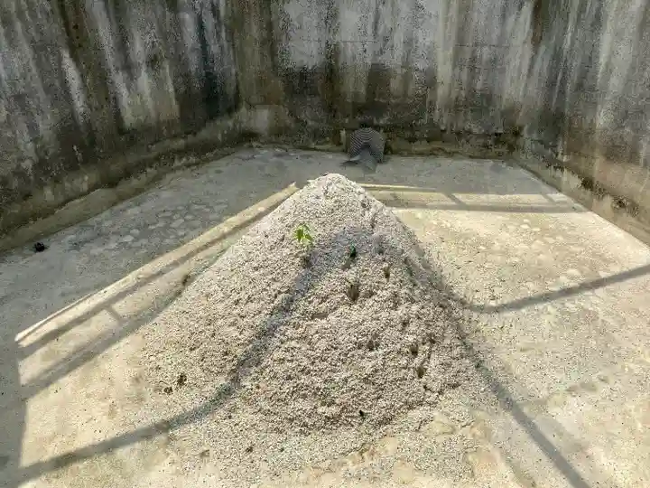 針綱神社のその他建物