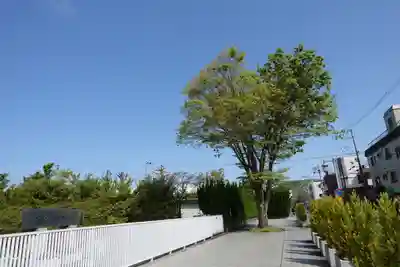 半木神社（賀茂別雷神社境外末社）(京都府)