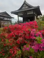 境香取神社(茨城県)