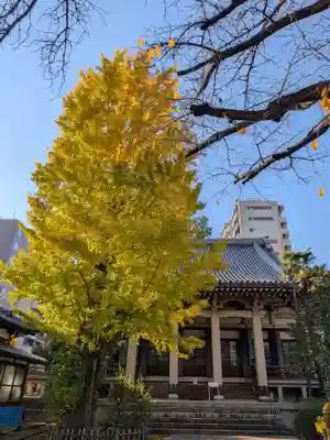 報恩寺(東京都)
