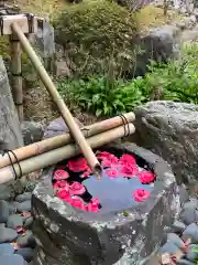 十輪寺の手水