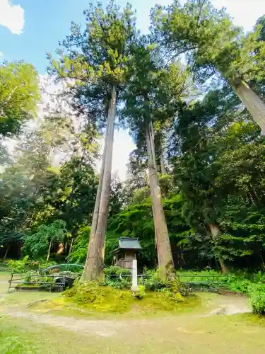 粟鹿神社の{uncategorized: "未分類", other: "その他", undefined: "問題あり", building: "その他建物", grave: "お墓", sacred_gate: "鳥居", guardian: "狛犬", statue: "像", buddha: "仏像", history: "歴史", nature: "自然", garden: "庭園", animal: "動物", pagoda: "塔", temizu: "手水舎", mountain_gate: "山門・神門", sanctuary: "本殿・本堂", subordinate: "末社・摂社", art: "芸術", scenery: "景色", jizo: "地蔵", ema: "絵馬", goshuin: "御朱印", omikuji: "おみくじ", items: "授与品その他", amulet: "お守り", goshuincho: "御朱印帳", eats: "食事", festival: "お祭り", votive_dance: "神楽", shichigosan: "七五三参", wedding: "結婚式", experience: "体験その他", initially: "初詣", around: "周辺", anti_infection: "感染症対策"}