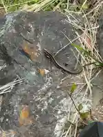 鳳仙寺(栃木県)