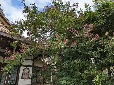 常徳寺(京都府)