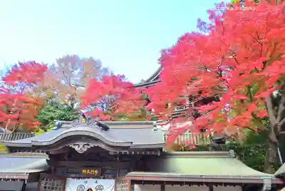 高尾山薬王院(東京都)