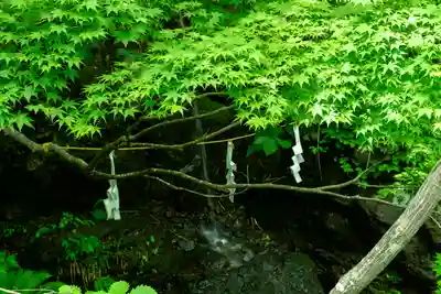 戸隠神社九頭龍社(長野県)
