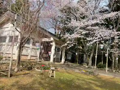 琴平神社(高知県)