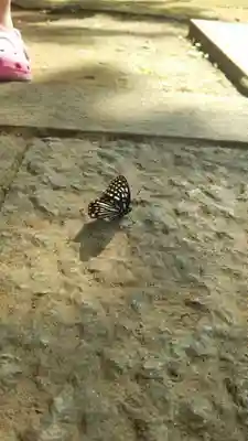 結縁寺(千葉県)