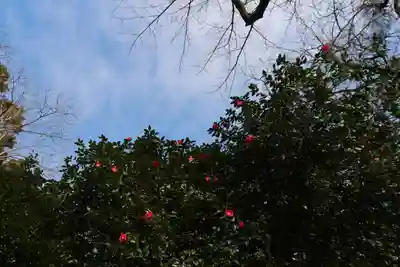 高木神社の自然