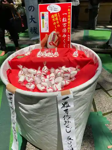 少彦名神社のおみくじ