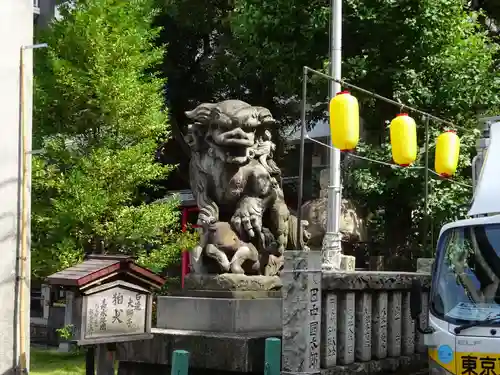 東神奈川熊野神社の狛犬