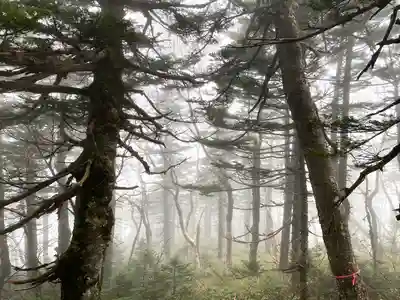 禰固岳神社の周辺