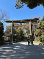 明治神宮(東京都)