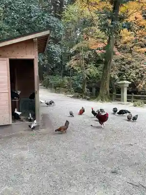 石上神宮(奈良県)