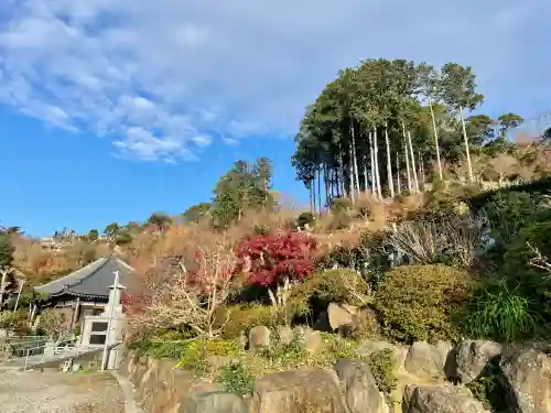 龍源寺(静岡県)