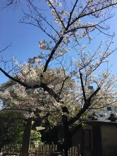 霊巌寺の自然