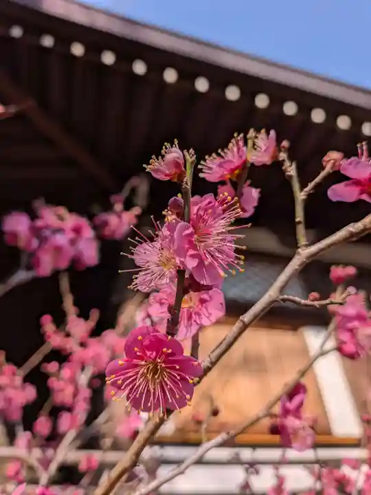 福蔵院(東京都)
