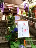 十番稲荷神社(東京都)