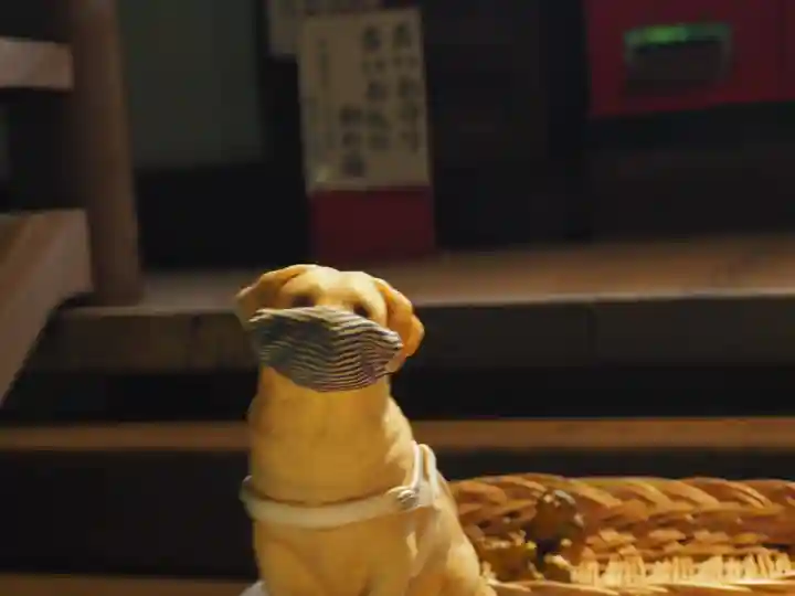 野津田薬師堂(福王寺)(東京都)