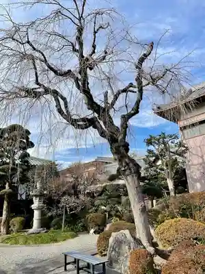 福泉寺(神奈川県)