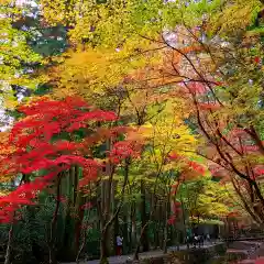 小國神社の自然