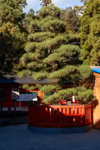 香椎宮(福岡県)