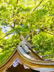 八坂神社の建物その他