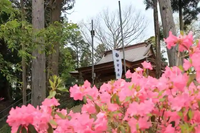 阿久津「田村神社」(郡山市阿久津町)旧社名:伊豆箱根三嶋三社の自然