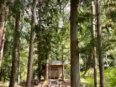 大山祇神社の自然