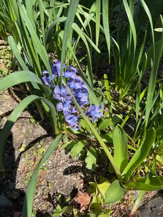 三輪神社(愛知県)