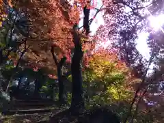 岡太神社(福井県)