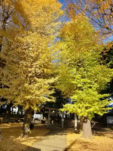 愛宕神社の自然