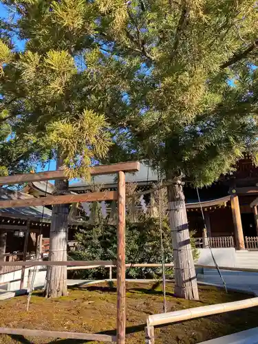 寒川神社(神奈川県)
