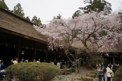 吉野水分神社(吉野町)の本殿・本堂