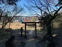 日枝神社の鳥居