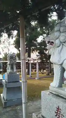 子神社の狛犬