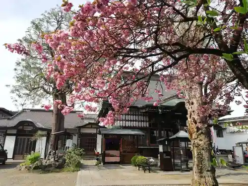 清宝院の本殿・本堂