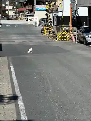 秩父神社(埼玉県)