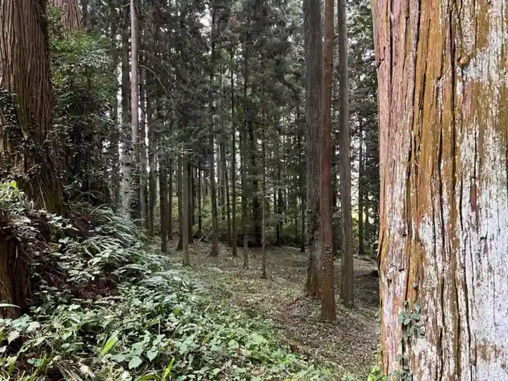 大宮温泉神社(栃木県)