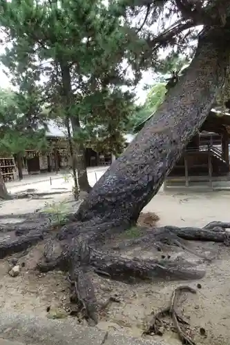 白鳥神社(香川県)