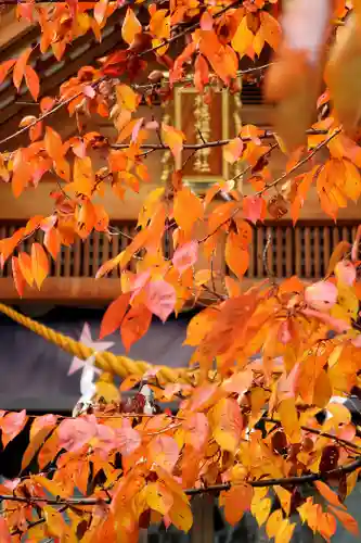 札幌祖霊神社の自然