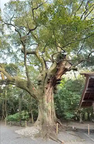 月夜見宮（豊受大神宮別宮）(三重県)