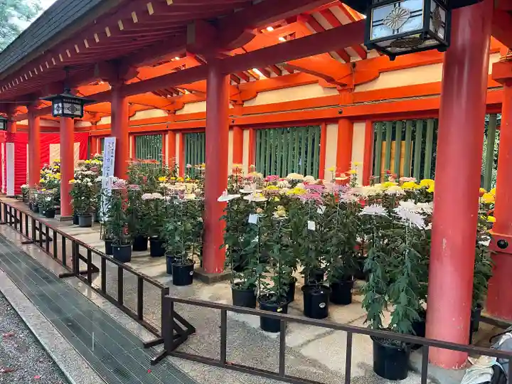武蔵一宮氷川神社(埼玉県)