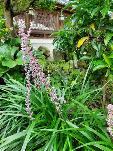 沙沙貴神社(滋賀県)