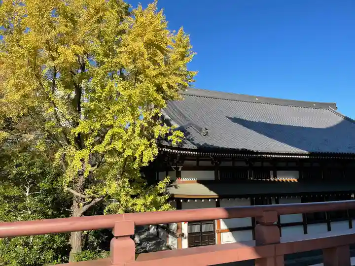増上寺(東京都)