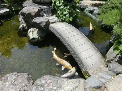 西林寺のその他建物