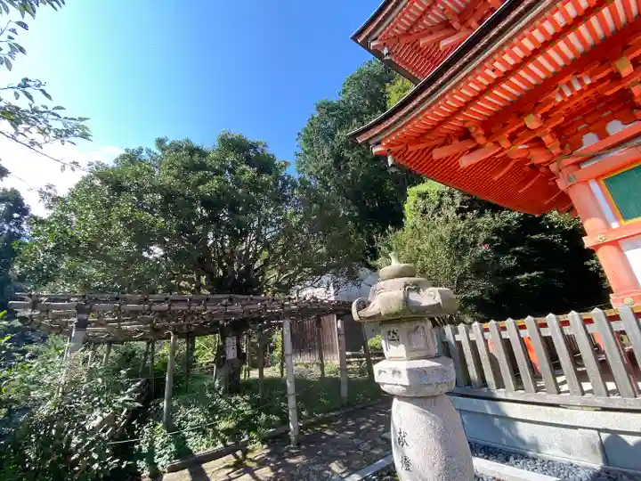 竹生島神社(都久夫須麻神社)(滋賀県)